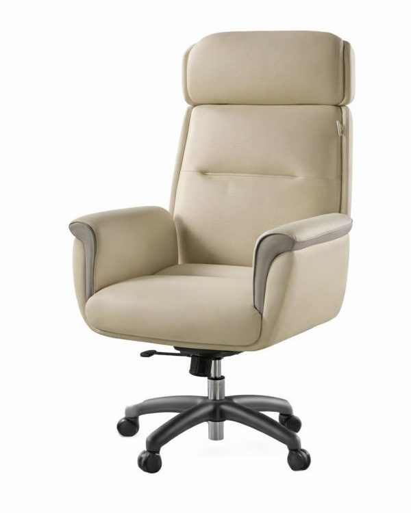Eureka Ergonomic Royal Ergo Executive Office Chair